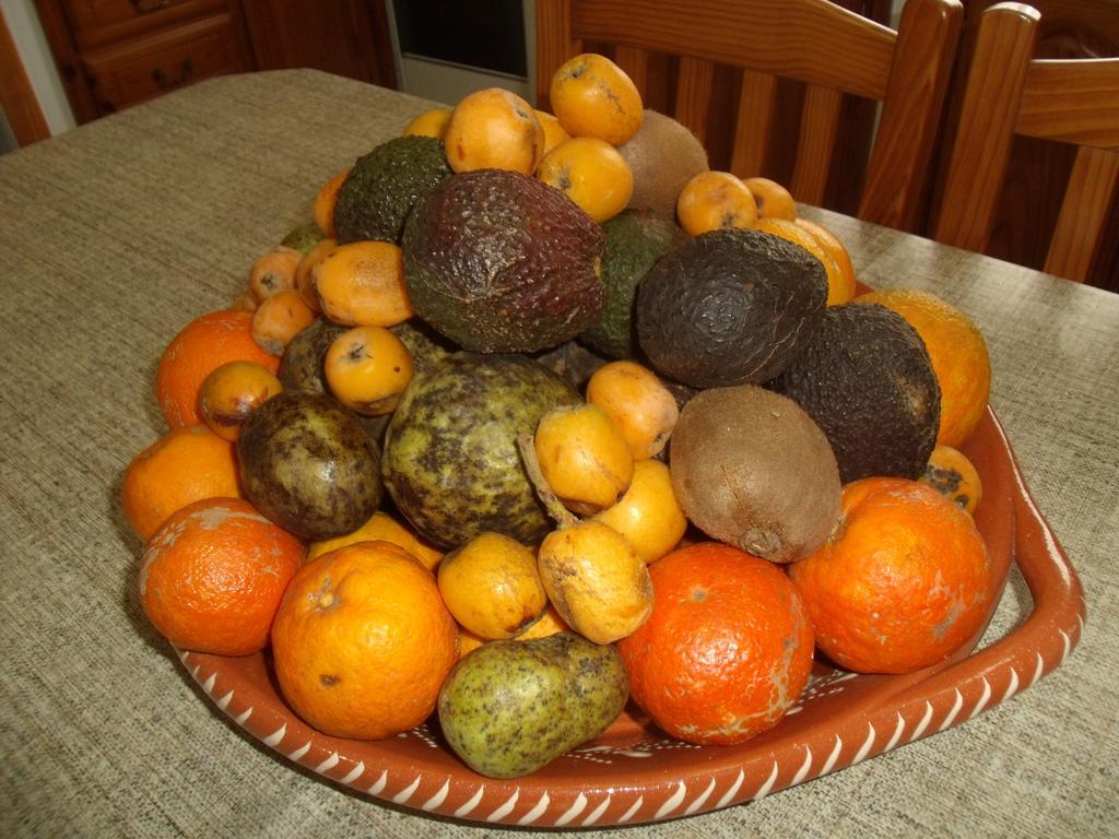 Tropical Fruit Garden Hotel Velas Exterior foto